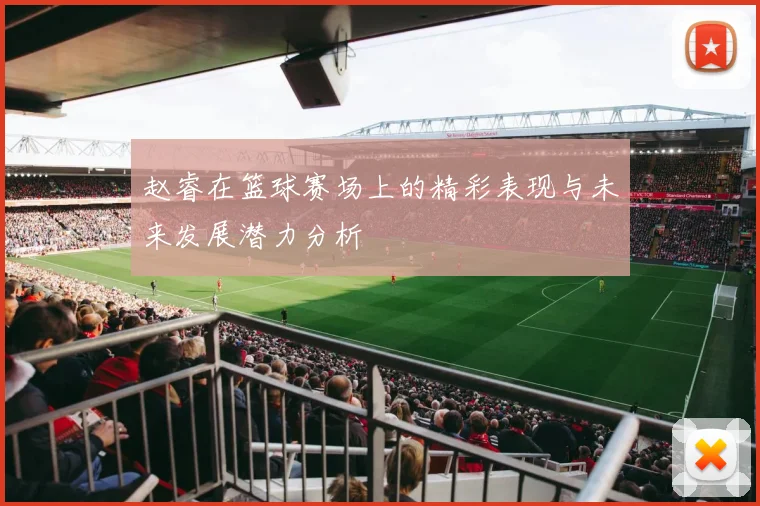 赵睿在篮球赛场上的精彩表现与未来发展潜力分析