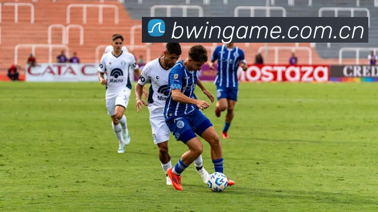 App Interface Preview